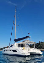 Leopard 44