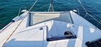 Leopard 44
