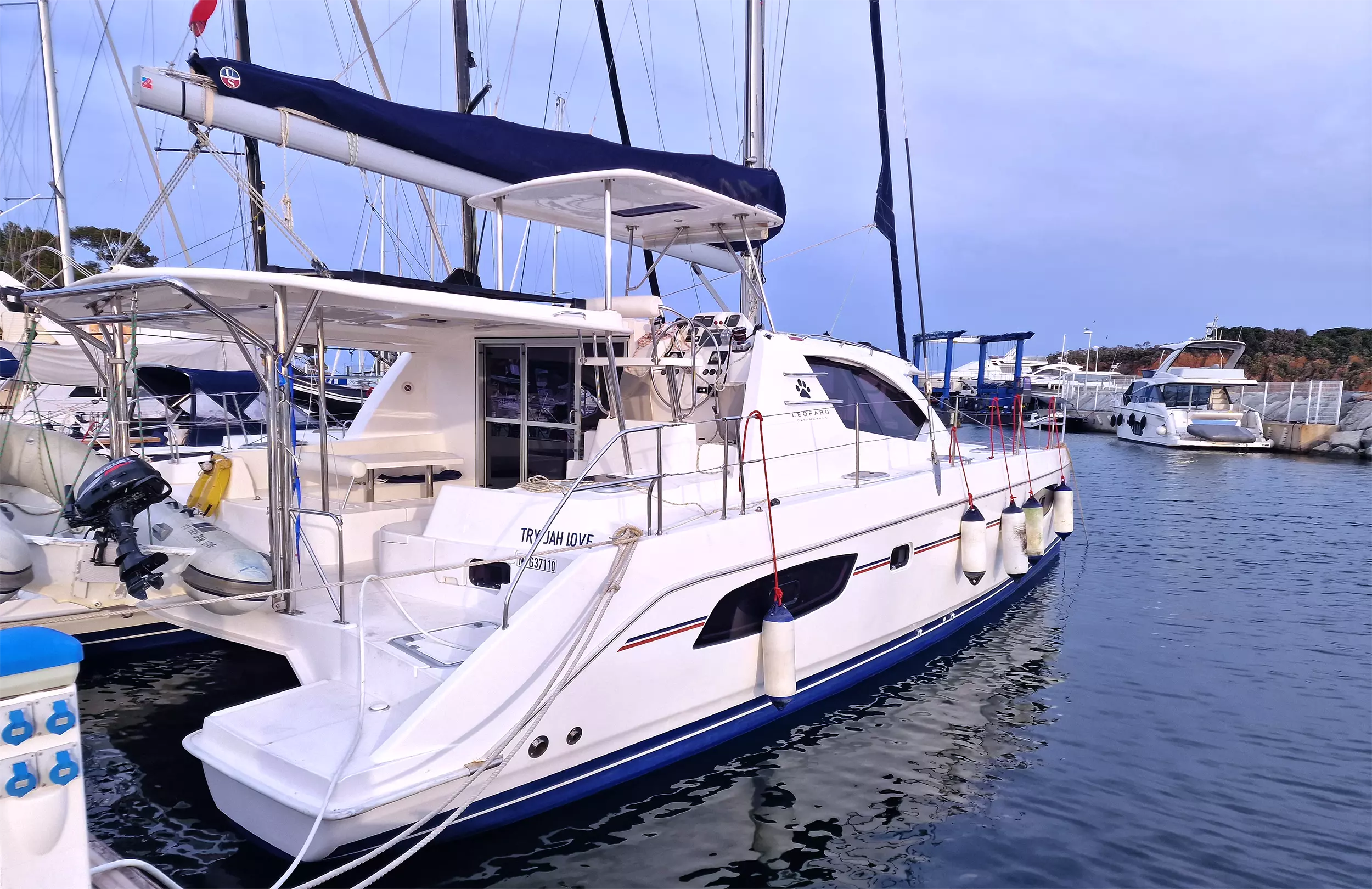 Leopard 44
